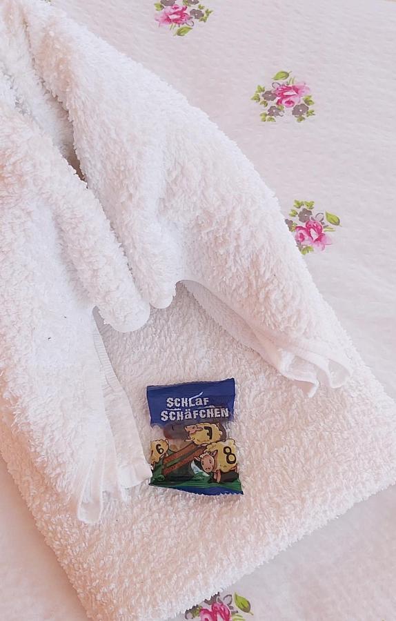 Cosis Ferienwohnung Hohnstein Luaran gambar