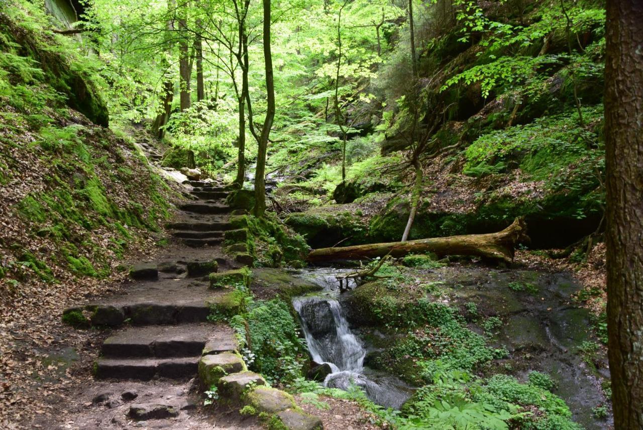 Cosis Ferienwohnung Hohnstein Luaran gambar